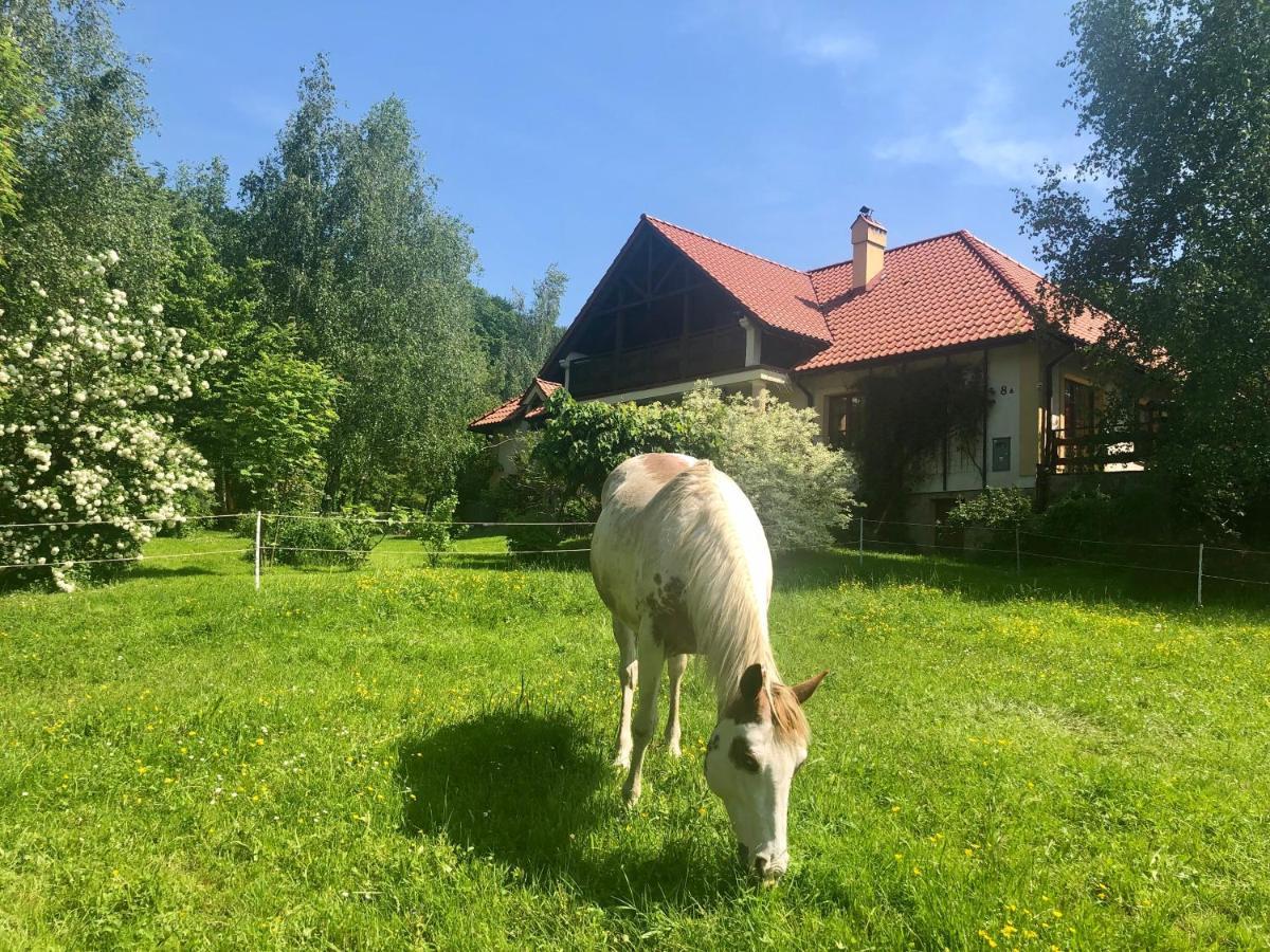 Bed and Breakfast Modryna Ranczo Krasiczyn Esterno foto
